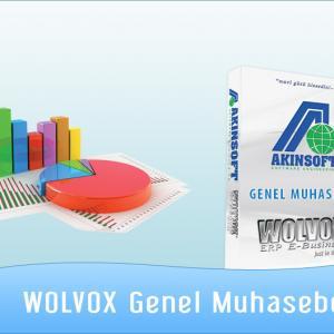 AKINSOFT Wolvox Genel Muhasebe
