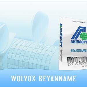 AKINSOFT Wolvox Beyanname