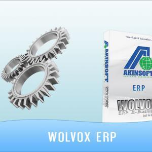 AKINSOFT Wolvox ERP